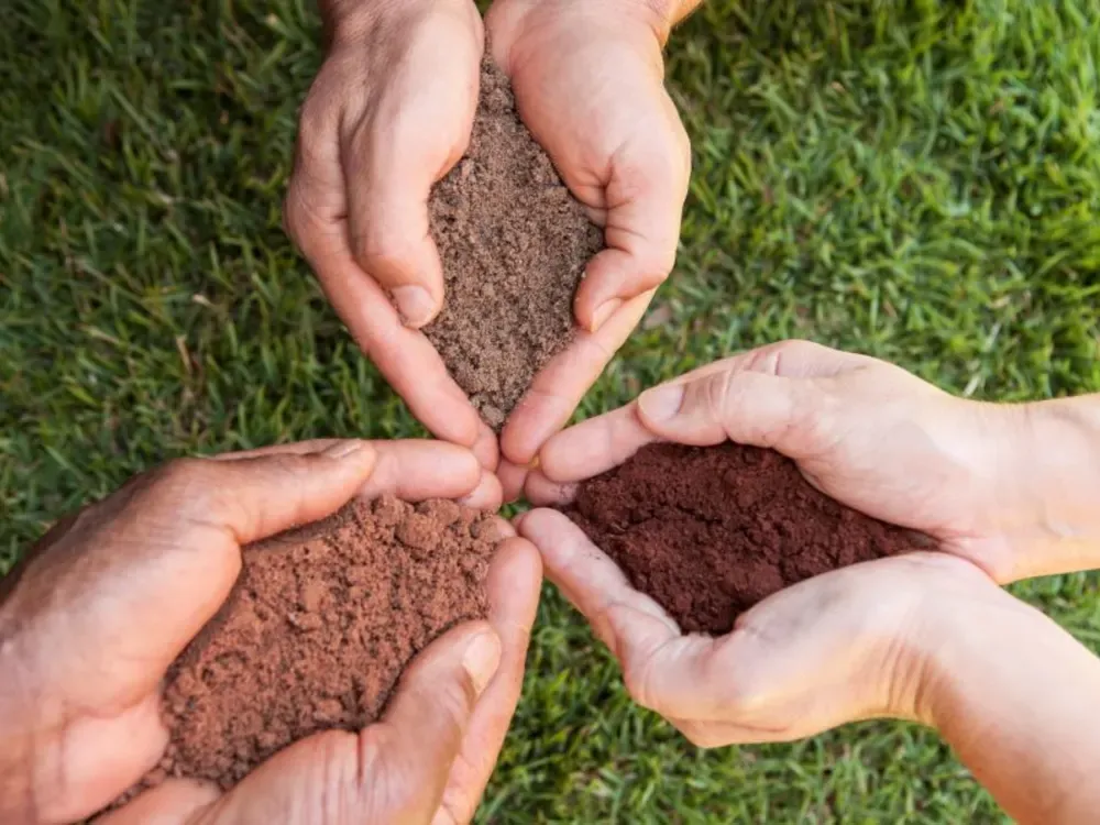 Hands cupping fresh vermicompost together, symbolising partnership